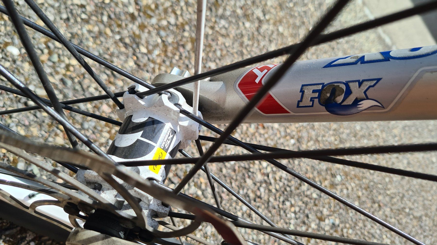 Specialized Biciclette: Mountainbike Specialized Epic Marathon Eigenbau – Usato da Zürich venduto da MIS-DIS 6