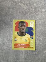 Panini Vaya Sithole RSA15