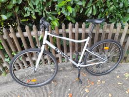 Velo Fahrrad Riverside 120