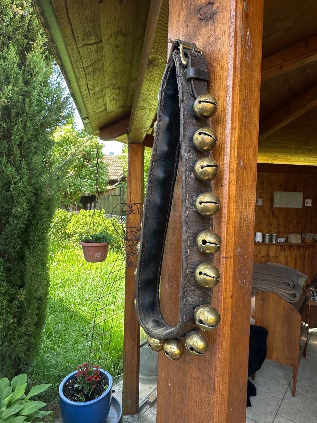 Campanacci mucche: Schlitten geröll – Usato da Rothrist venduto da Chnupperi 2