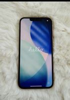 iPhone 13 Pro 256GB Gold mit Hülle und Ladekabel