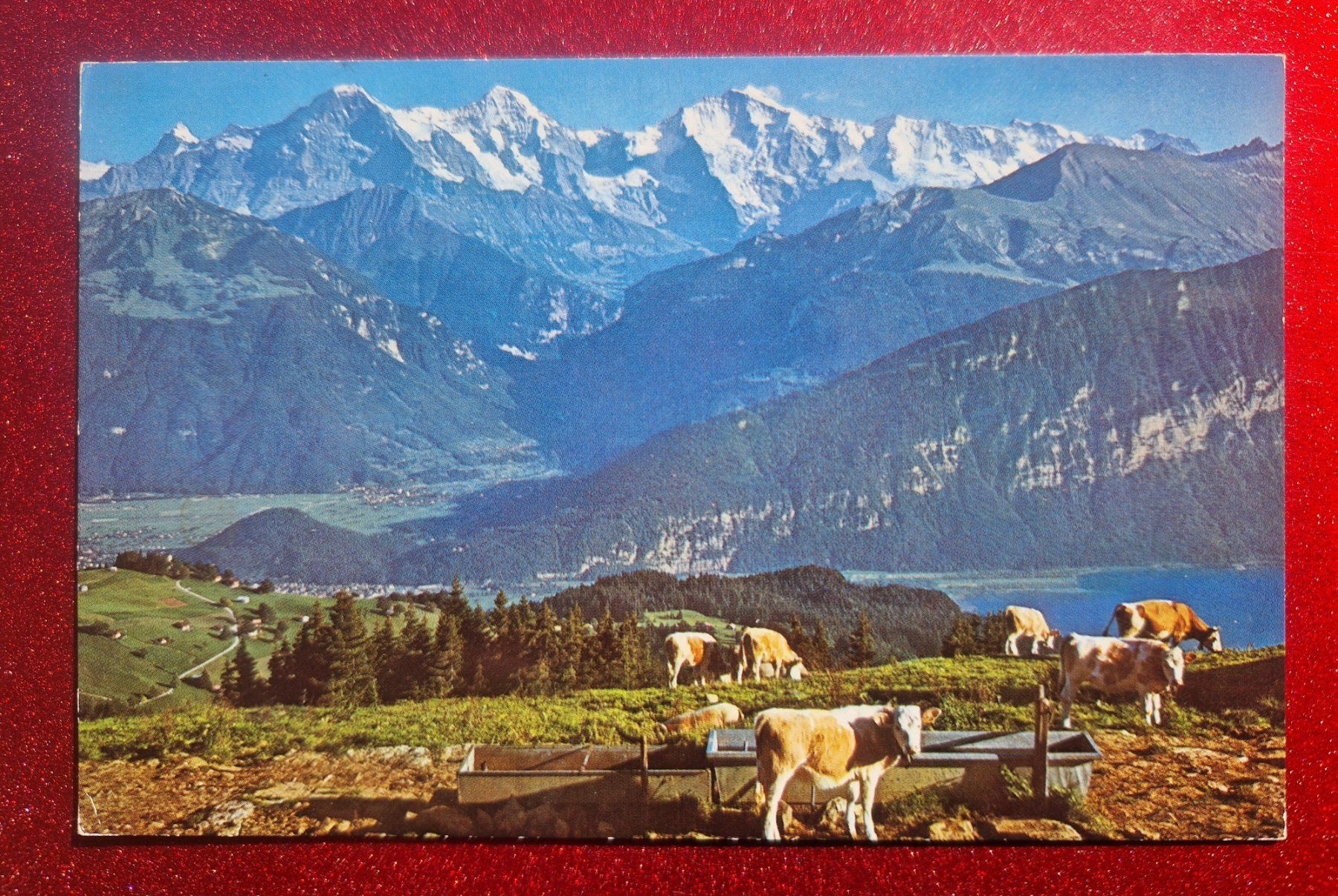 Ansichtskarten: Niederhorn, Beatenberg,Thunersee 1971 – Gebraucht aus Melchnau von Fishel