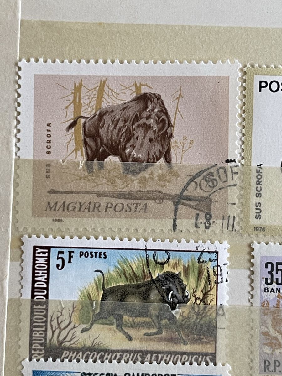 Tous les timbres: Briefmarken mit Wildschweinen – Neuf (Voir description) à Bern par TamSham 1