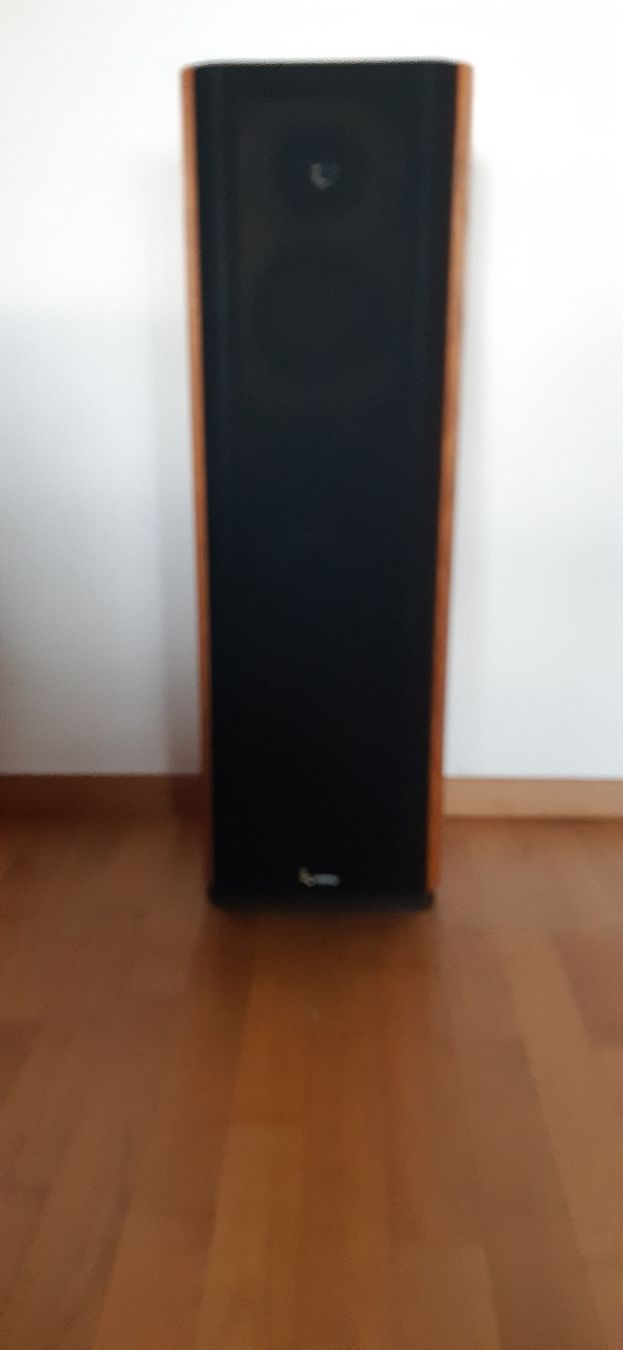 Infinity Casse acustiche: Boxen – Usato da Cham venduto da Mustang680