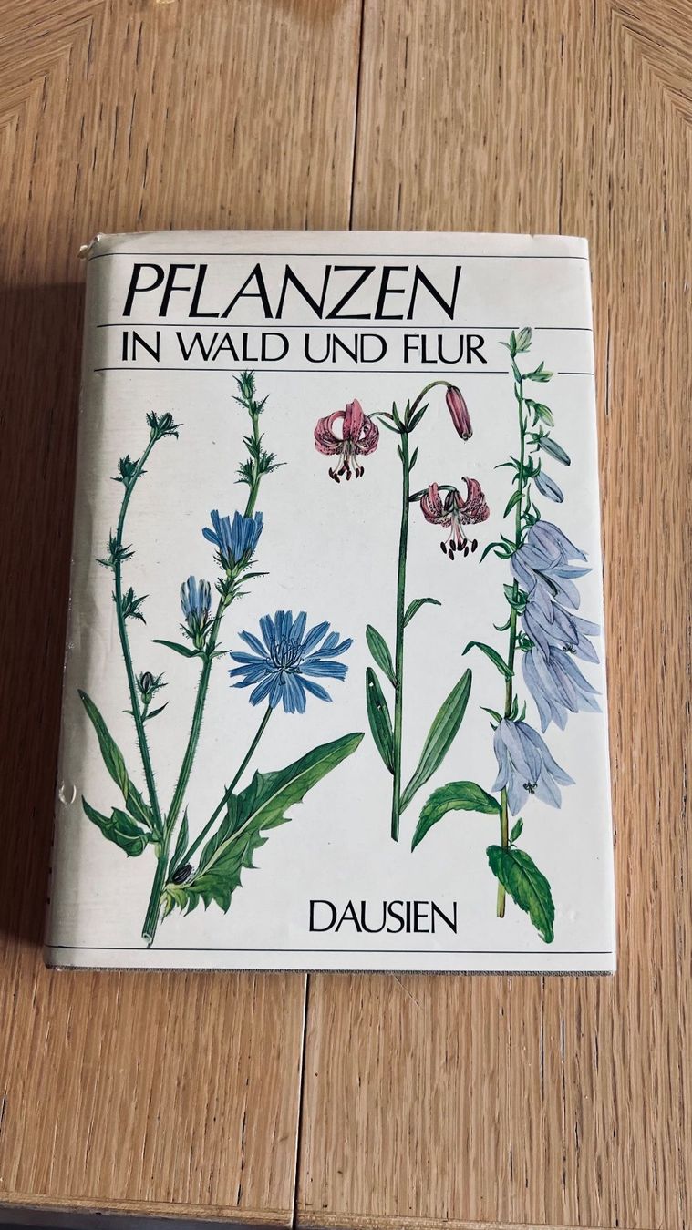 Libri: Pflanzenbuch: Wald und Flur entdecken , 1980 – Usato da Schübelbach venduto da Bemafaja