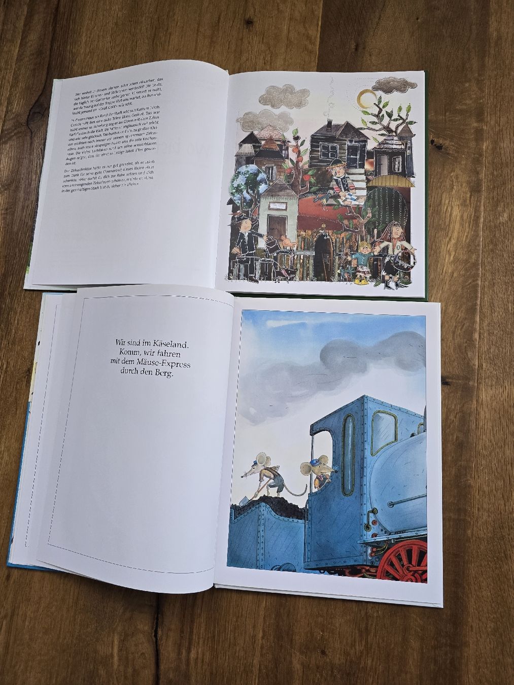Livres: bücher set – D'occasion à Wittenbach par Tigerlili 6