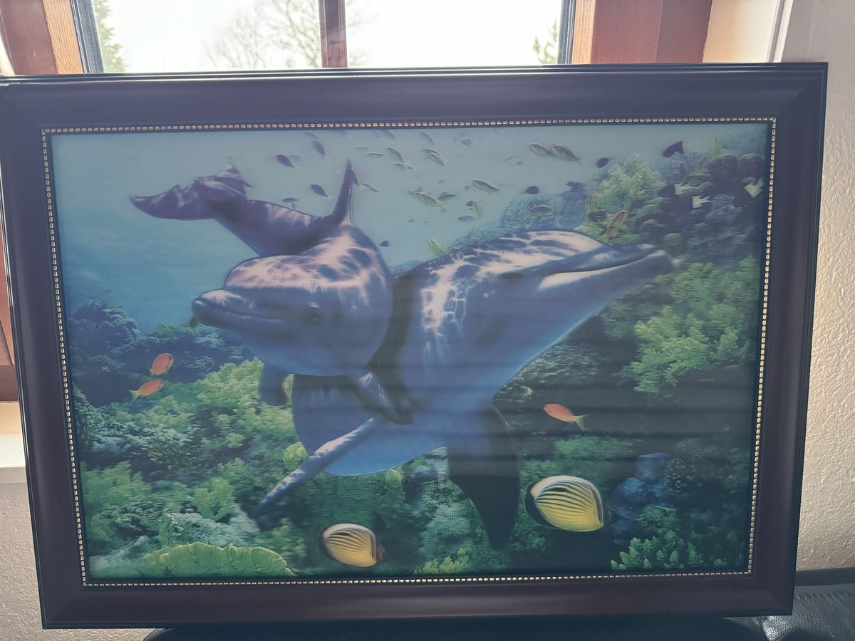 Giocattoli: Tableau 3D dauphin – Usato da Mont-sur-Lausanne venduto da Fun_Case 1