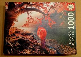 Puzzle 1'000 Teile