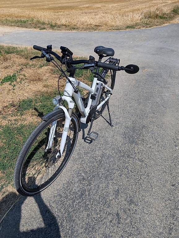 Flyer Biciclette: E Bike Flyer – Usato da Biel-Benken BL venduto da Pinklady7 1