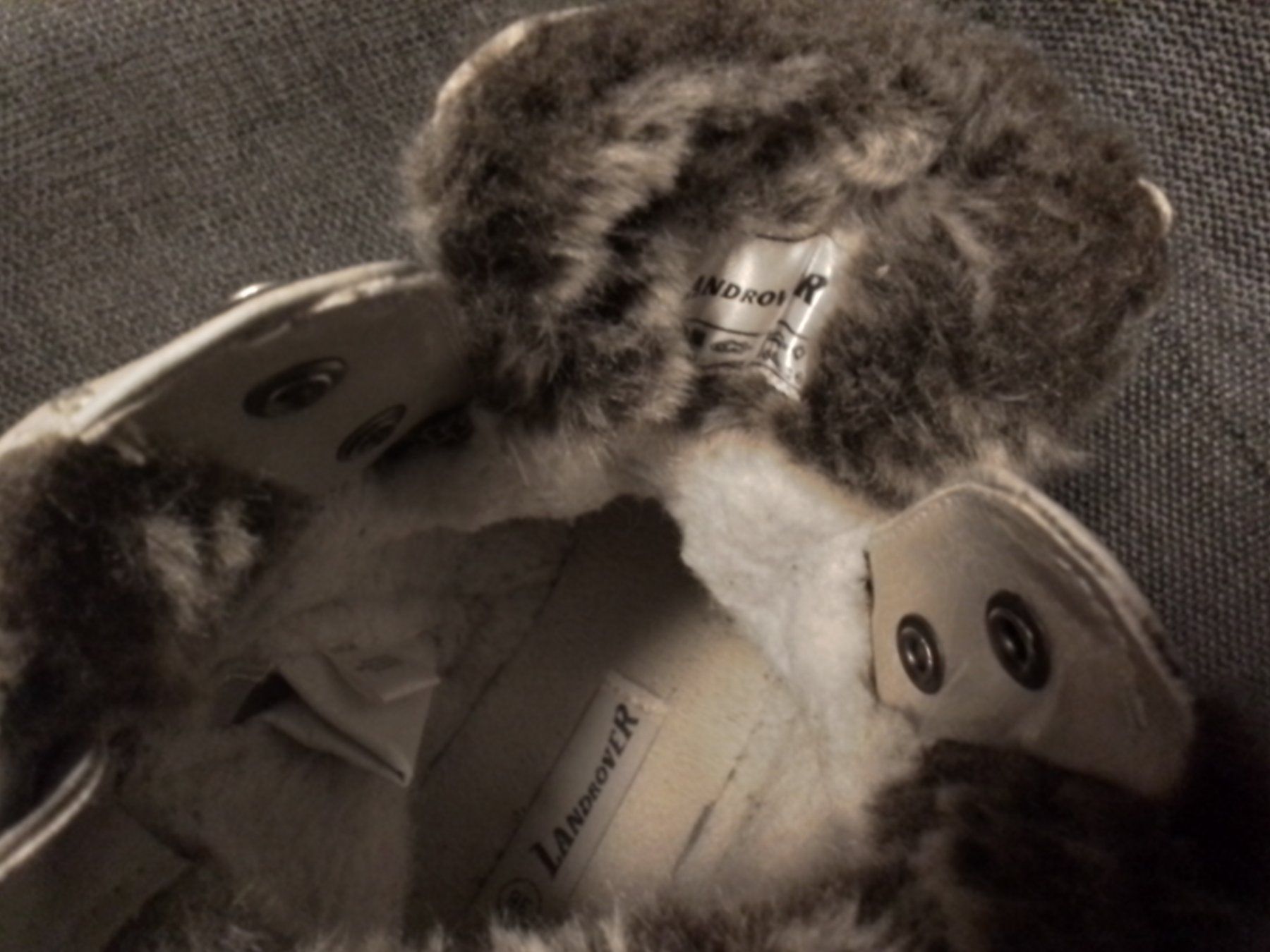 Landrover Scarpe per ragazze: Winterschuhe LANDROVER  Größe. 36 – Nuovo (secondo la descrizione) da Heimberg venduto da sunny1970 4