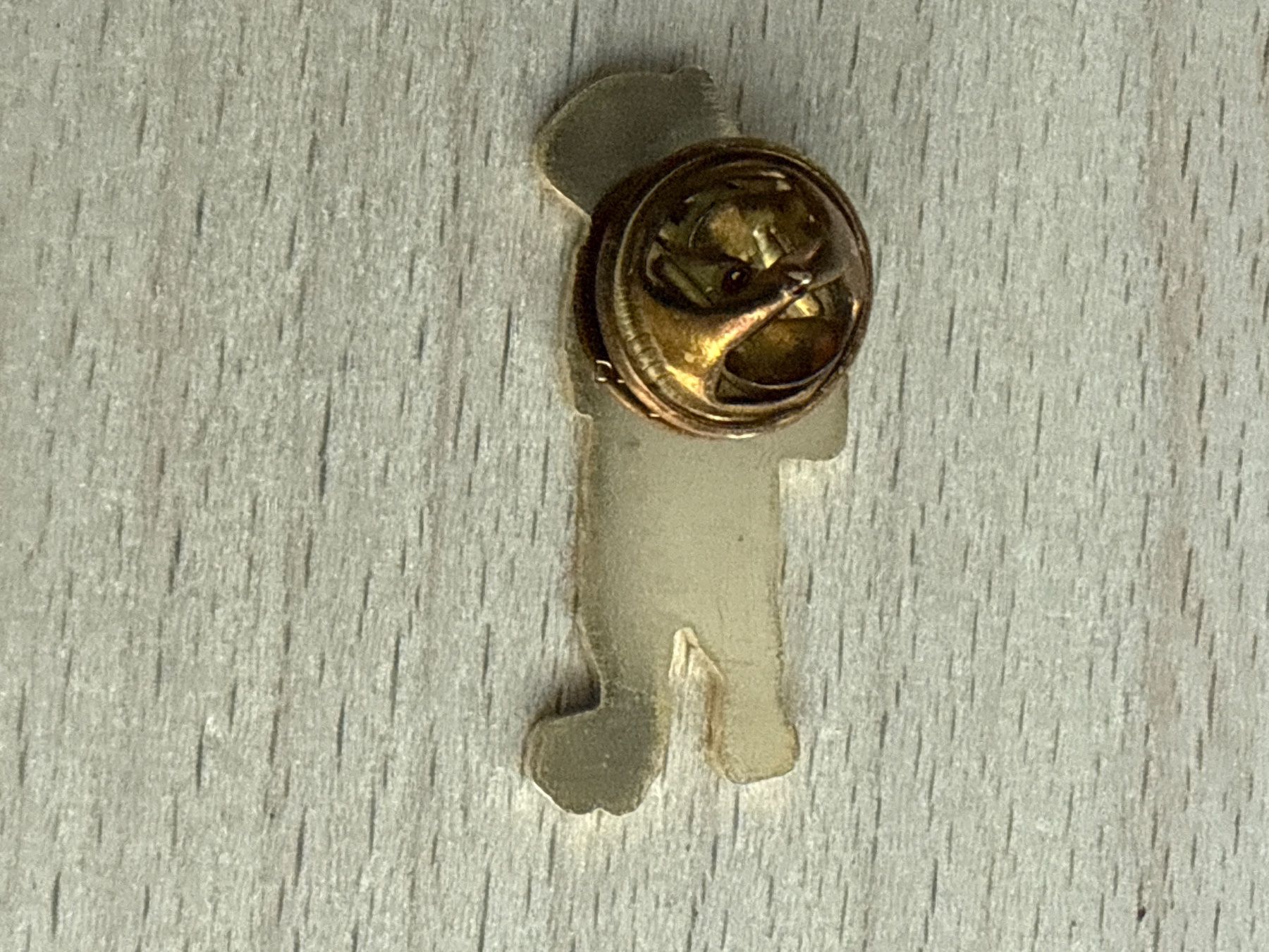 Placchette & Badge: Pin NGZ – Usato da Glattbrugg venduto da Schweigmatt 1