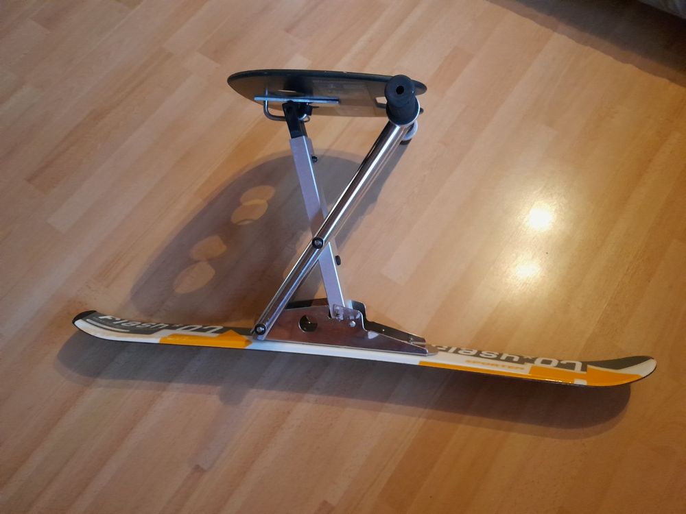 Balancer, Sitzski | Kaufen auf Ricardo