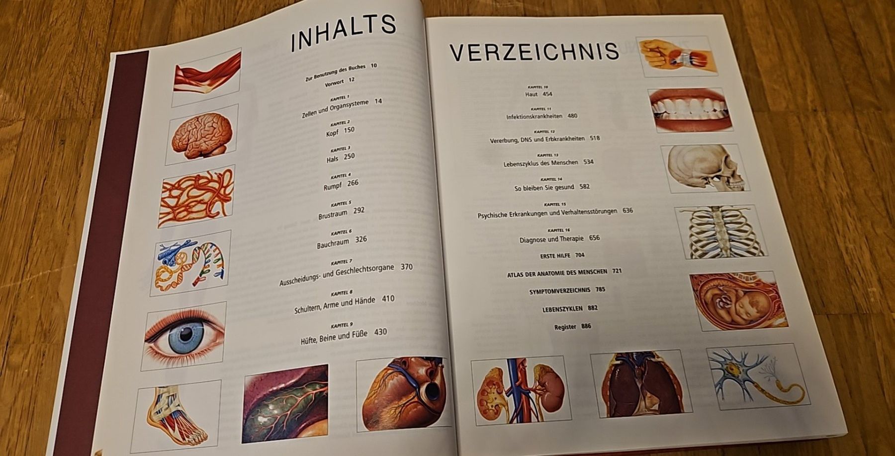Livres: ANATOMICA von Könemann – D'occasion à Luzern par schuhparadies159 2
