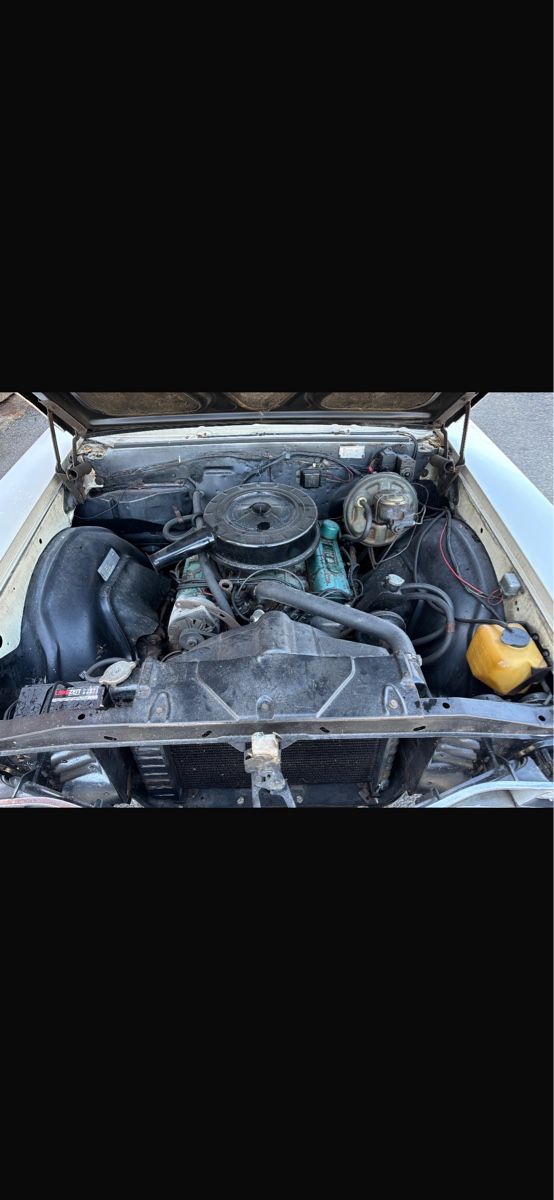 Buick Automobili: Buick skylark 340 gm – Usato da Reinach AG venduto da rares75 4