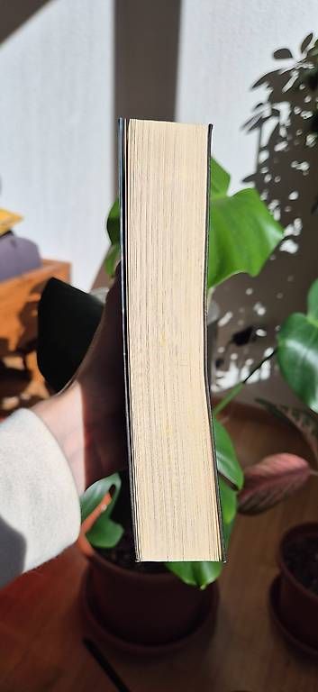 Libri: Harlan Coben  Ich finde dich – Usato da Bern venduto da smichi 2
