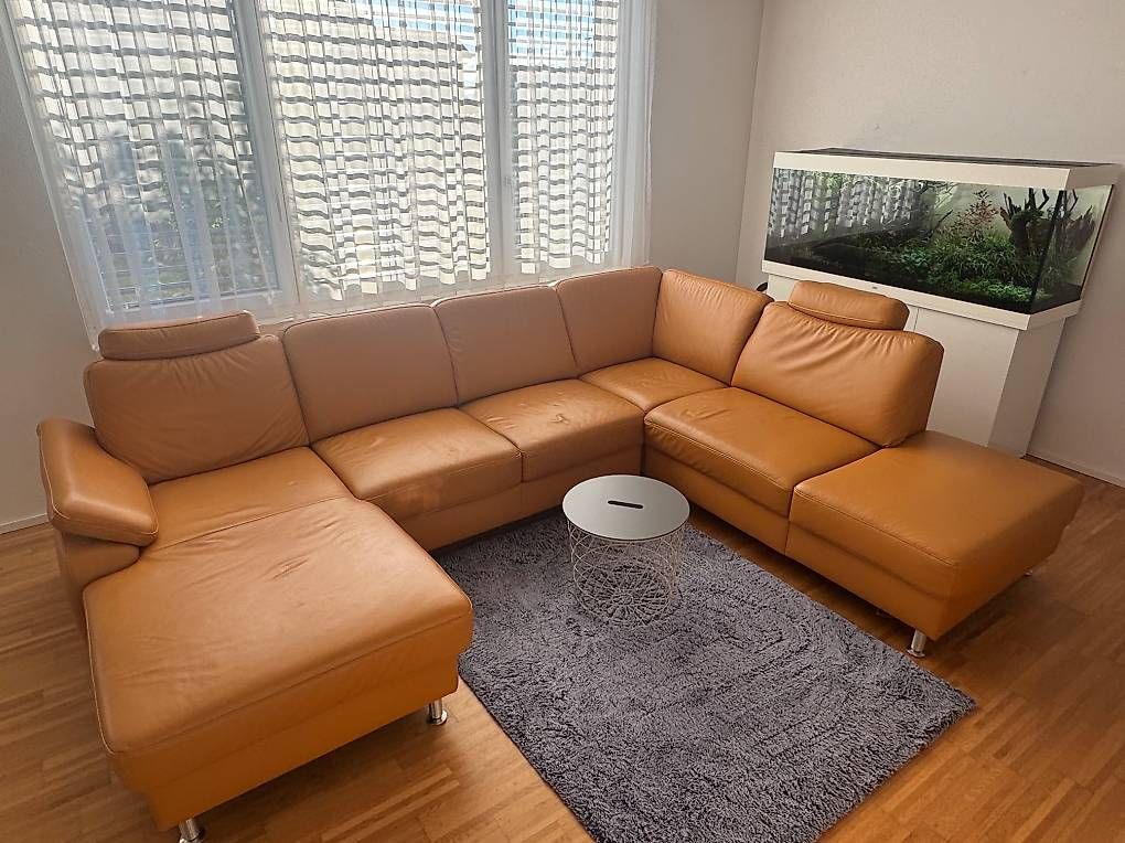 Divani: Sofa Echtes Leder XXL – Usato da Niederbüren venduto da mic_7g5w 1