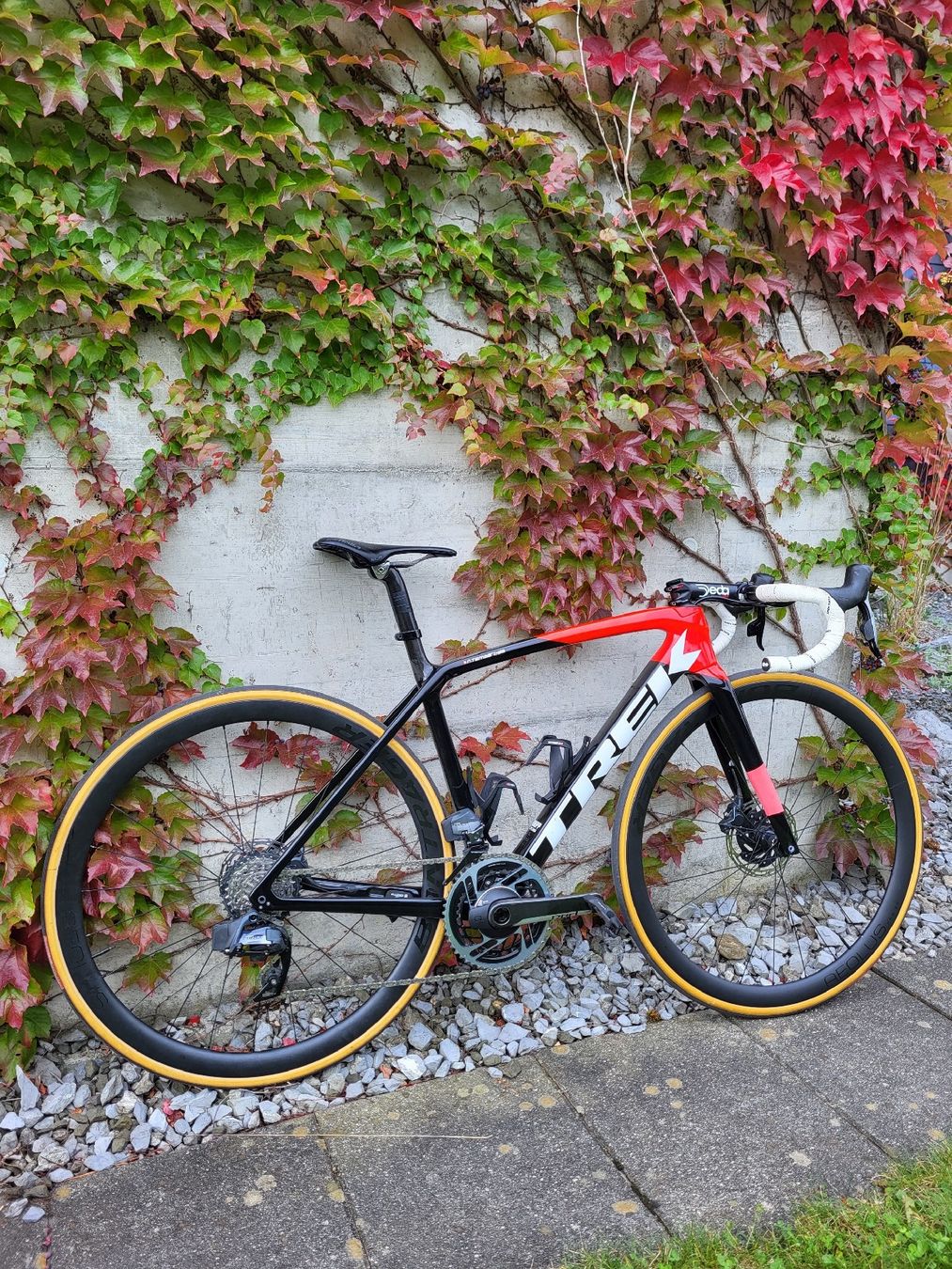 Biciclette: Trek Emonda SL6 – Usato da Buchs SG venduto da nicotambarikas