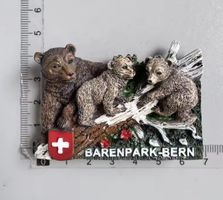 Kühlschrankmagnet Schweiz | Souvenir | NEU | Bern