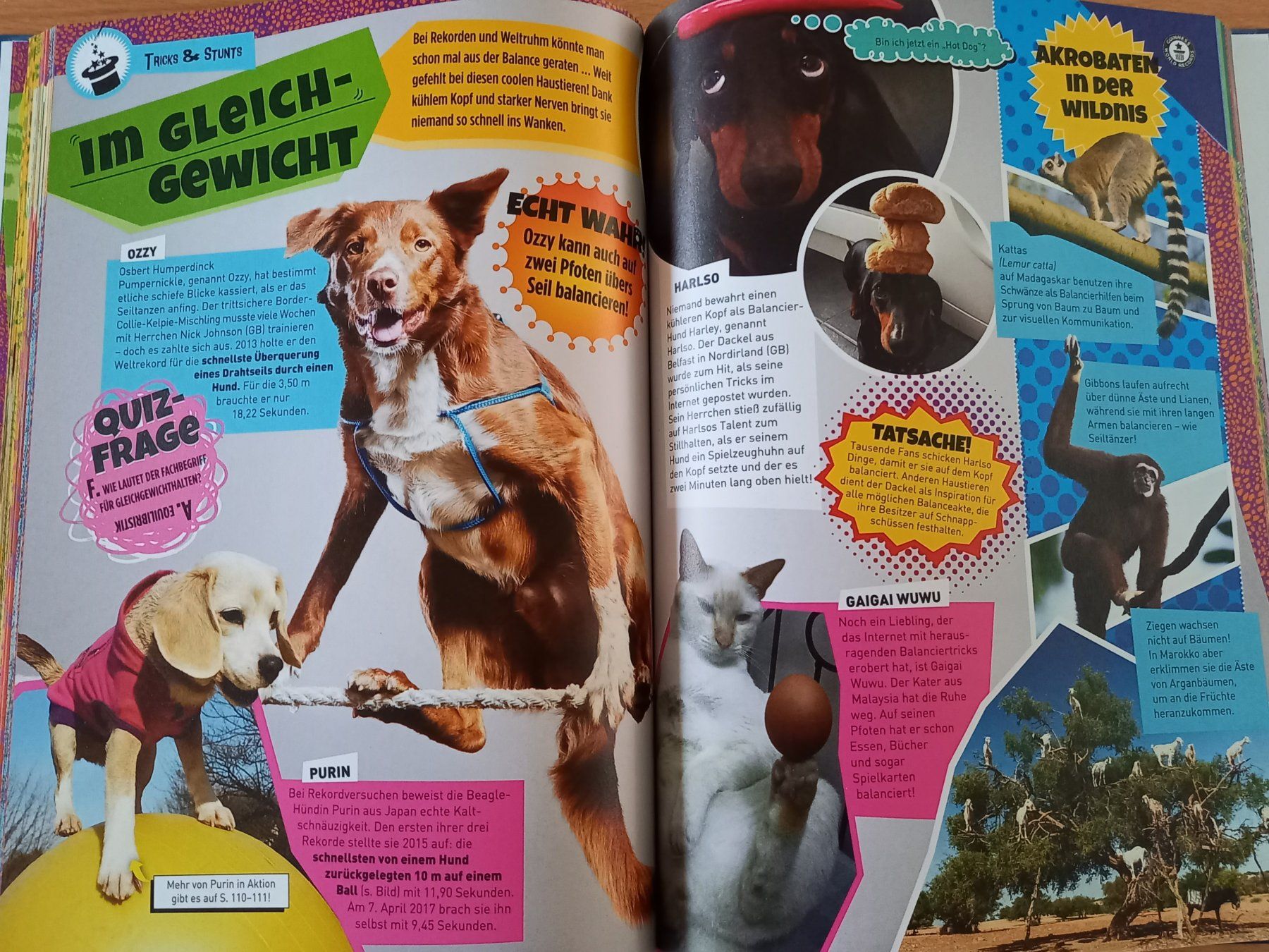 Libri: Guinness World Records Super Tiere Buch – Usato da Obernau venduto da Corolli 6
