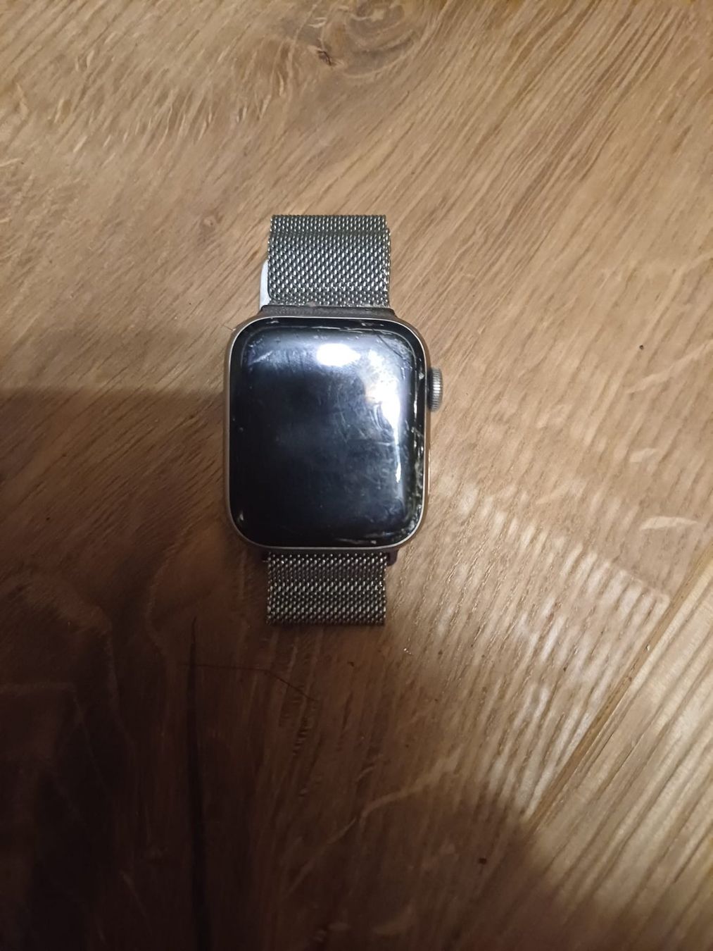 Apple Smartwatch: Apple Watch Series 5 inkl. Ladekabel – Usato da Wangen SZ venduto da Dar_h8kj