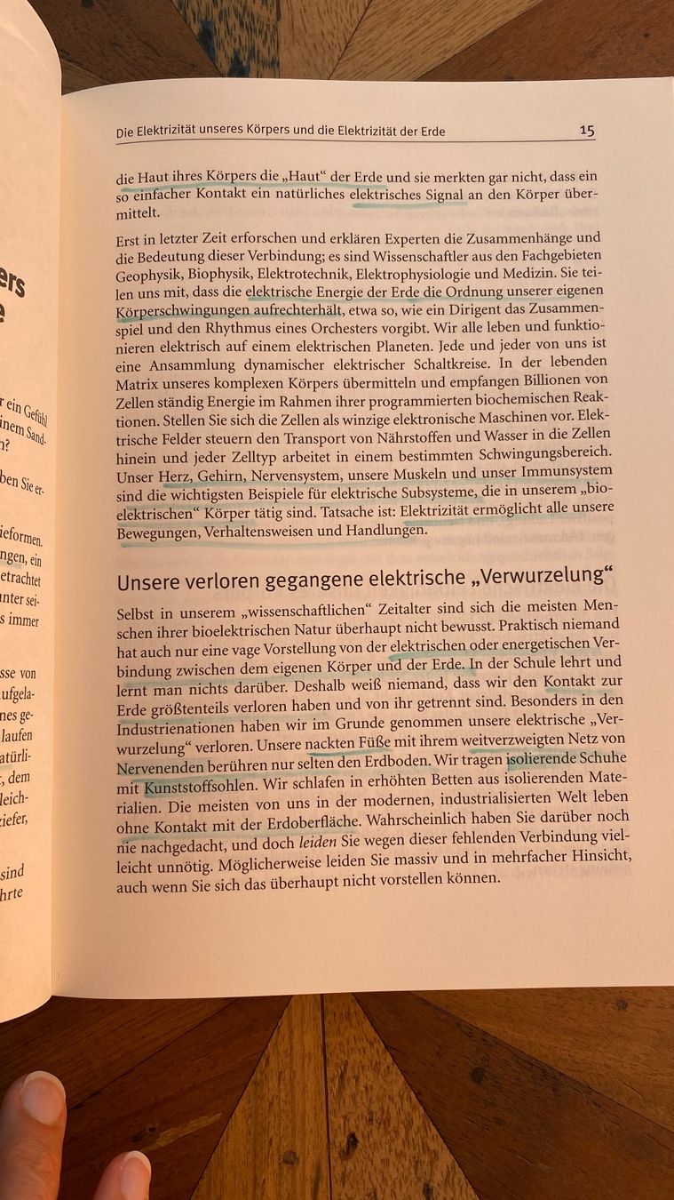Libri: Buch Earthing Heilendes Erden Clinton Ober – Usato da Stadel b. Niederglatt venduto da sandart 2