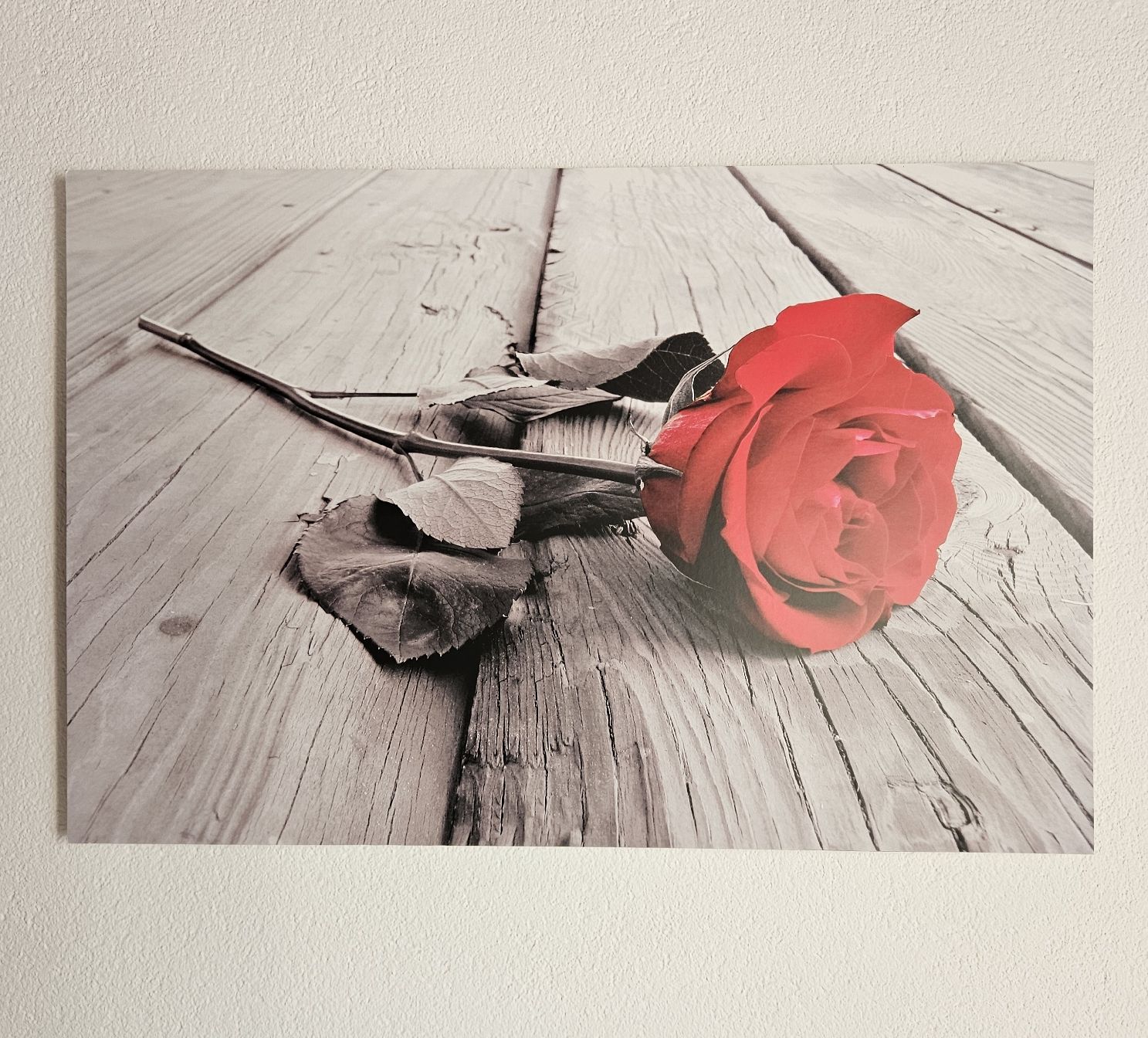 Foto & Immagini: Bild rote Rose auf Holz. – Usato da Menziken venduto da the_zw6x