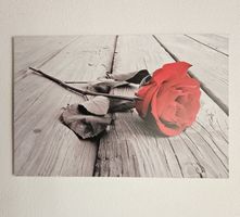 Bild rote Rose auf Holz.