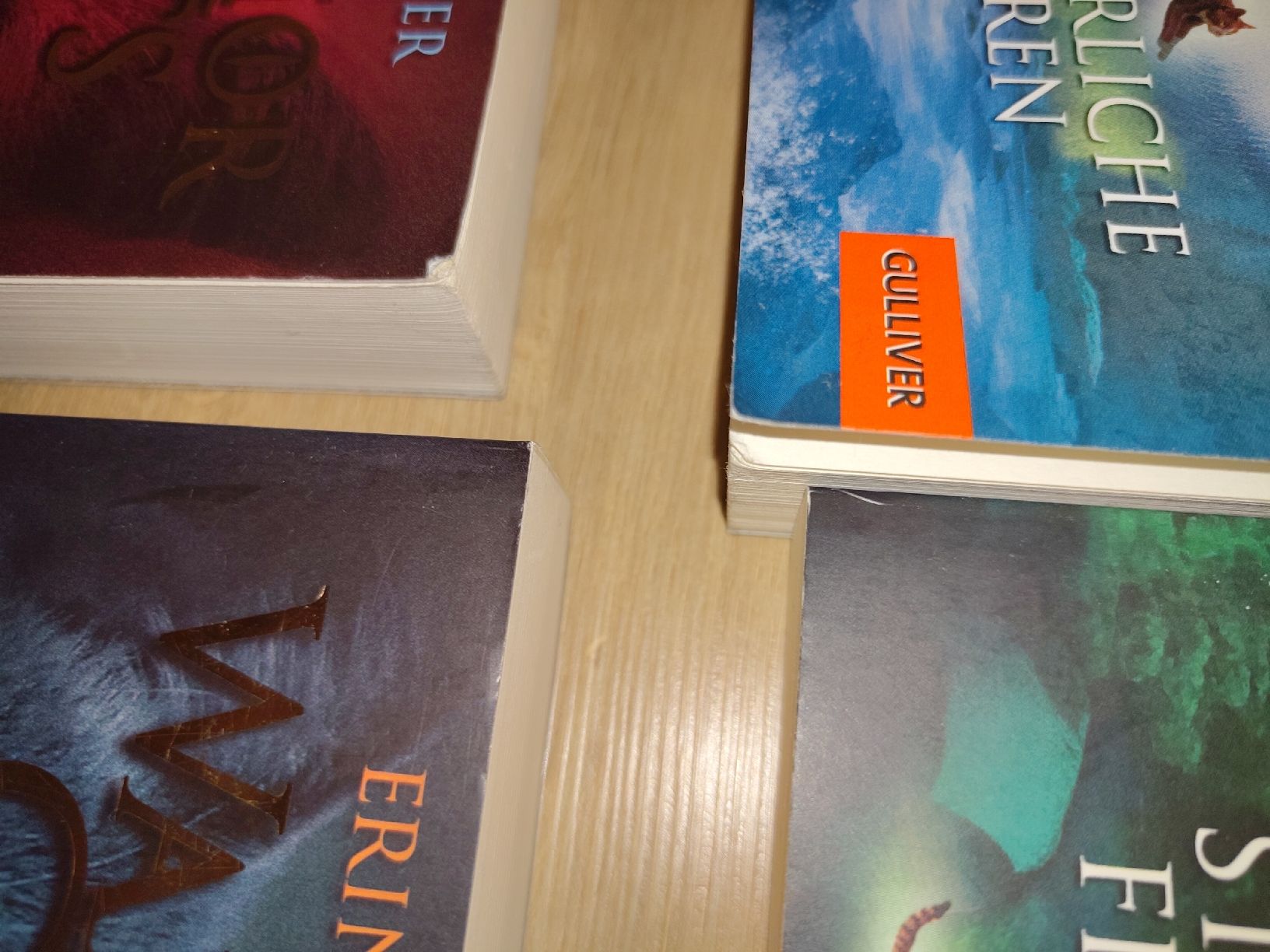 Libri: Warrior Cats Buch Erin Hunter – Usato da Reutlingen venduto da nev_hcq6 3