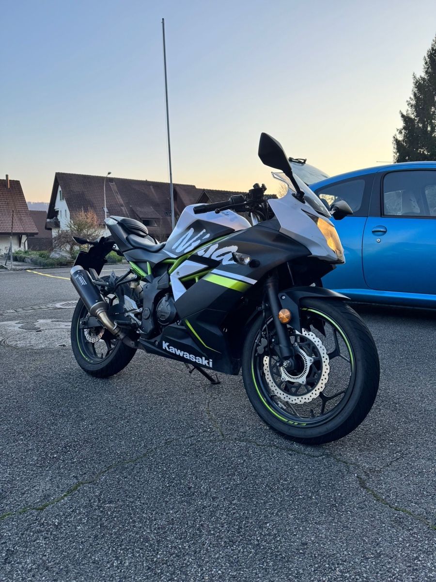 Kawasaki Strada: Motorrad 125 ccm – Usato da Buchs ZH venduto da tiz_8hlx 1
