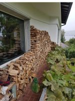 1 Ster 33 cm Hartholz (meist Buche, Esche, Ulme) nur 185.--