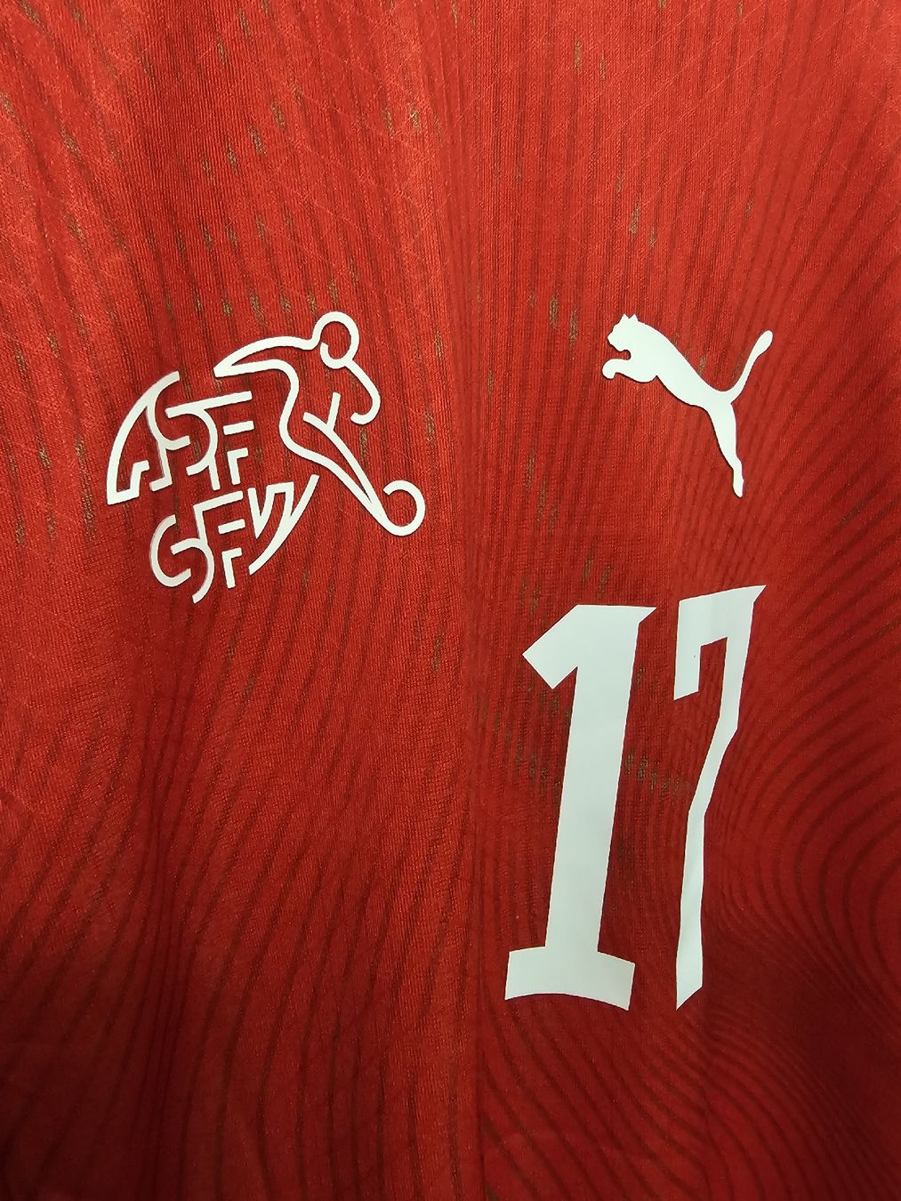 Maillots de corps & Pantalons: Schweiz Spielerversion Trikot WM 2026 – Neuf (Voir description) à Rickenbach LU par LichterWelt 2