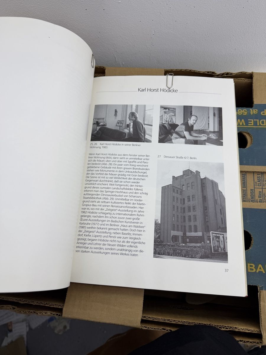 Libri: Die neuen wilden in Berlin – Usato da Wettingen venduto da NickInc 7