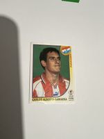 Panini WM 2002 Bild