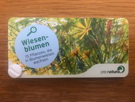 Fächer Wiesenblumen von Pro Natura