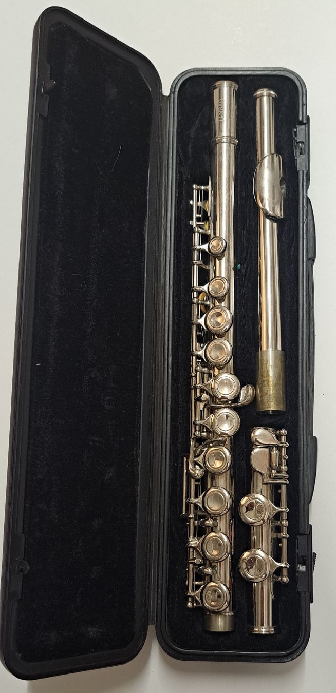 Instruments de musique: JINBAO Flöte – D'occasion à Biel/Bienne par Sasha4u