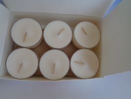 12 Teelichter Cedarwood + Oakmoos