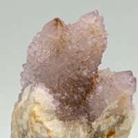 AMETHYST KAKTUS, 100+ Kristalle VIOLETT, Elegant