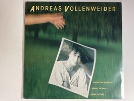 Andreas Vollenweider LP - Behind The Gardens Behind The…