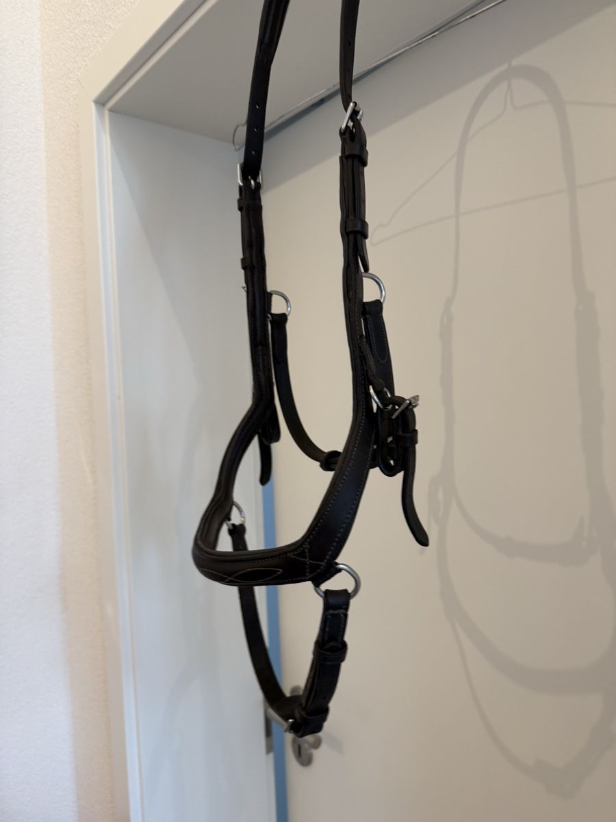 Briglie & Cavezze: Schönes Rambo Micklem WB-XL – Usato da Goldingen venduto da Wibli96 1