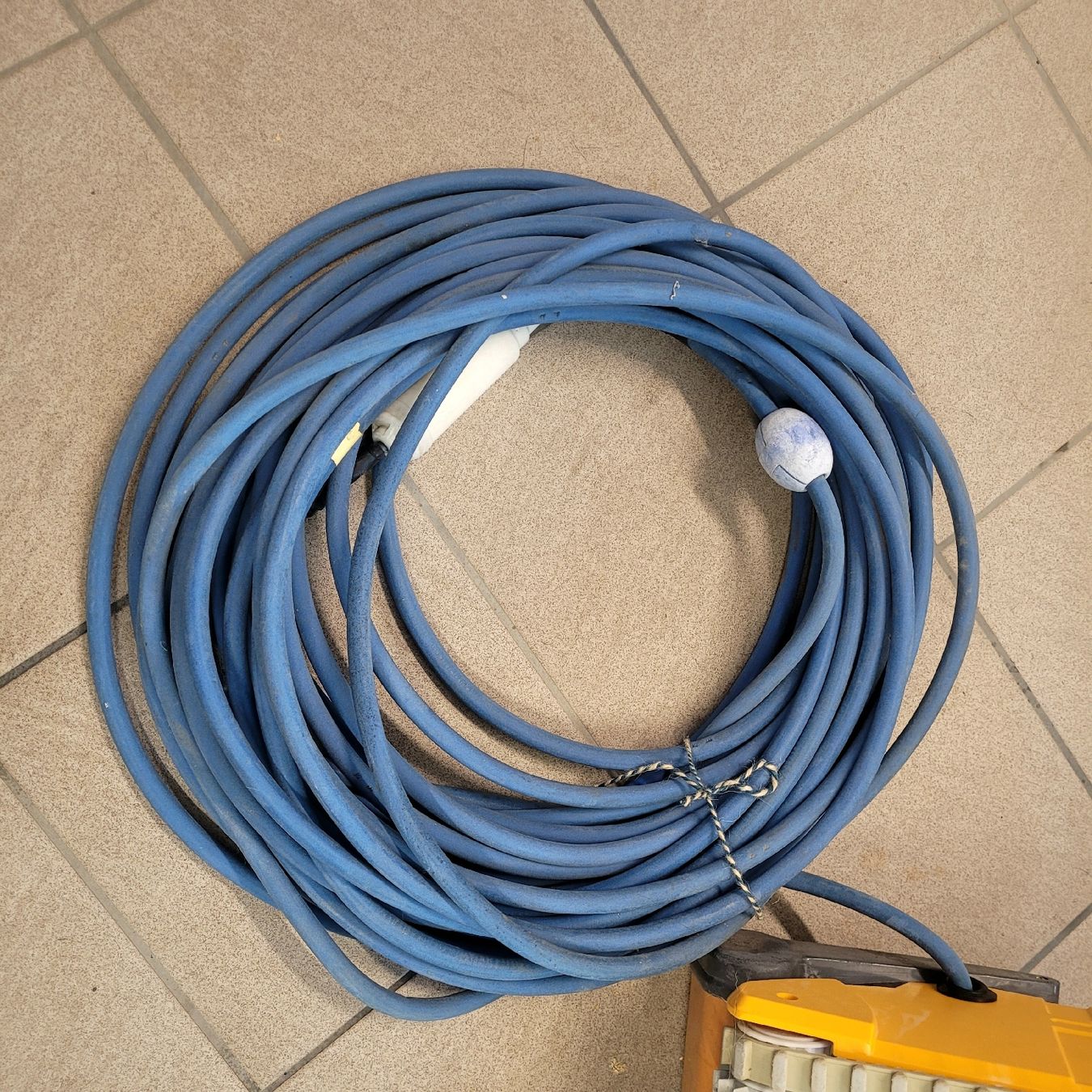 Dolphin Accessori per Piscine: Poolroboter Dolphin Dynamic Pro - Ideal für grosse Pools!! – Usato da Russikon venduto da proxilia 3