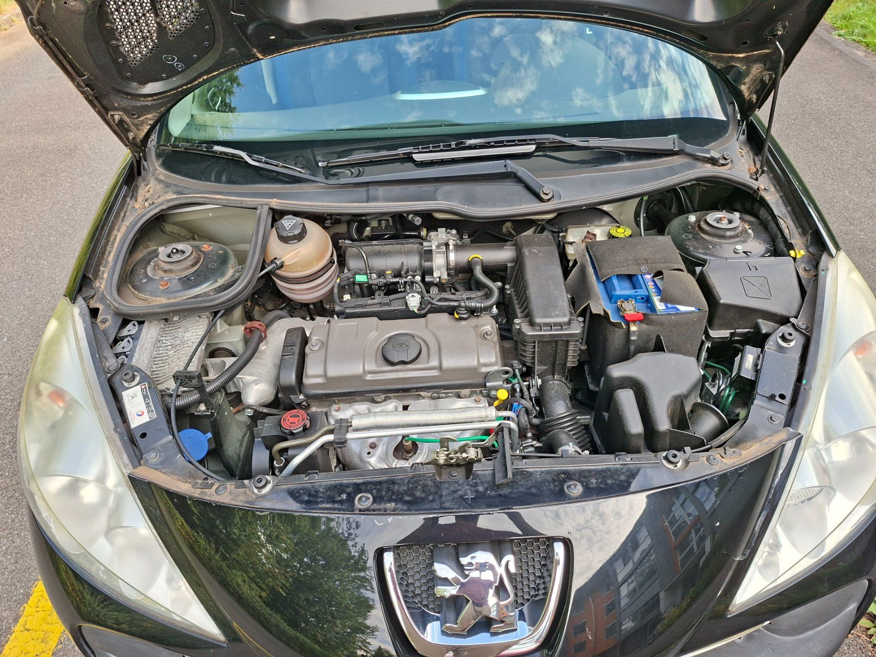 Peugeot Autos: Peugeot 206 Plus – Defekt aus Luzern von Remo666 4