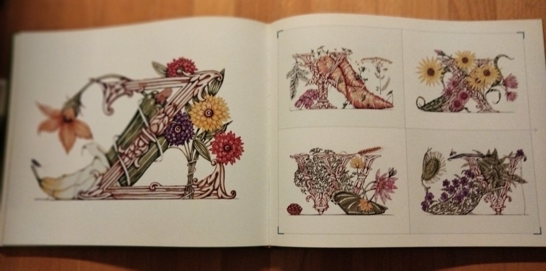 Bücher: The Botanical Footwear Dennis Kyte – Gebraucht aus Niederglatt ZH von Siegfried67 6