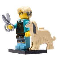 12 PET GROOMER  LEGO MINIFIGURE 71045 Serie 25