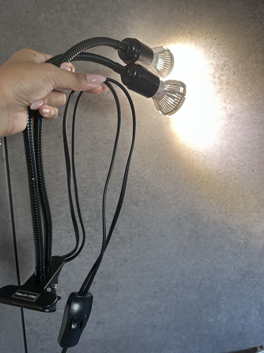 Lampade: Sansi Pflanzenlampe, 2x 10 Watt – Usato da Bülach venduto da Nanuk123 1