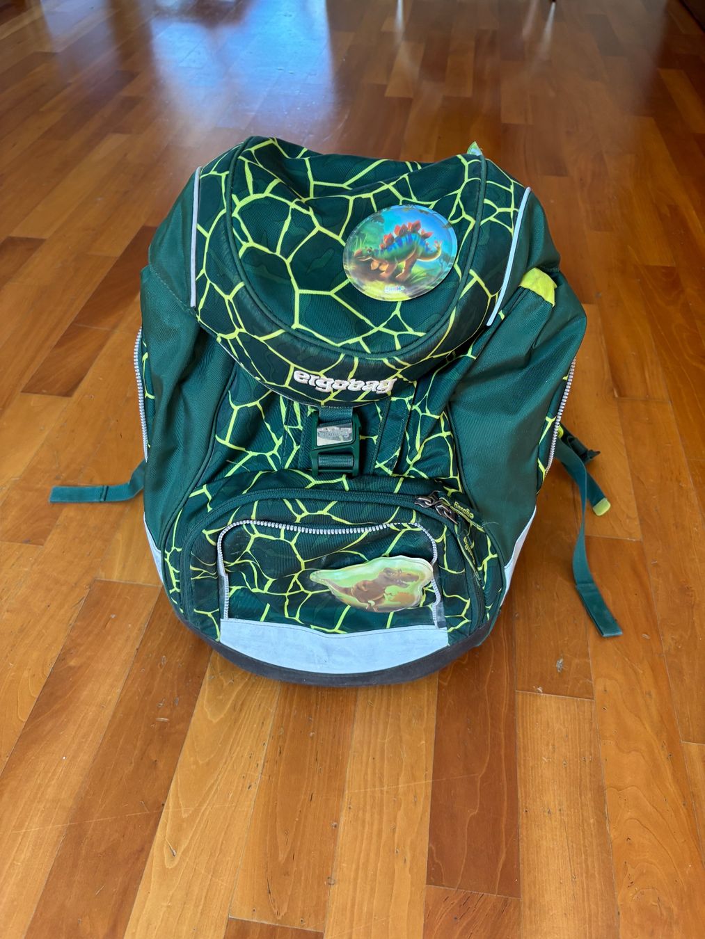 Ergobag Borse & Zaini: ergobag Kinderschulrucksack grün – Usato da THERWIL venduto da Fcbbasel