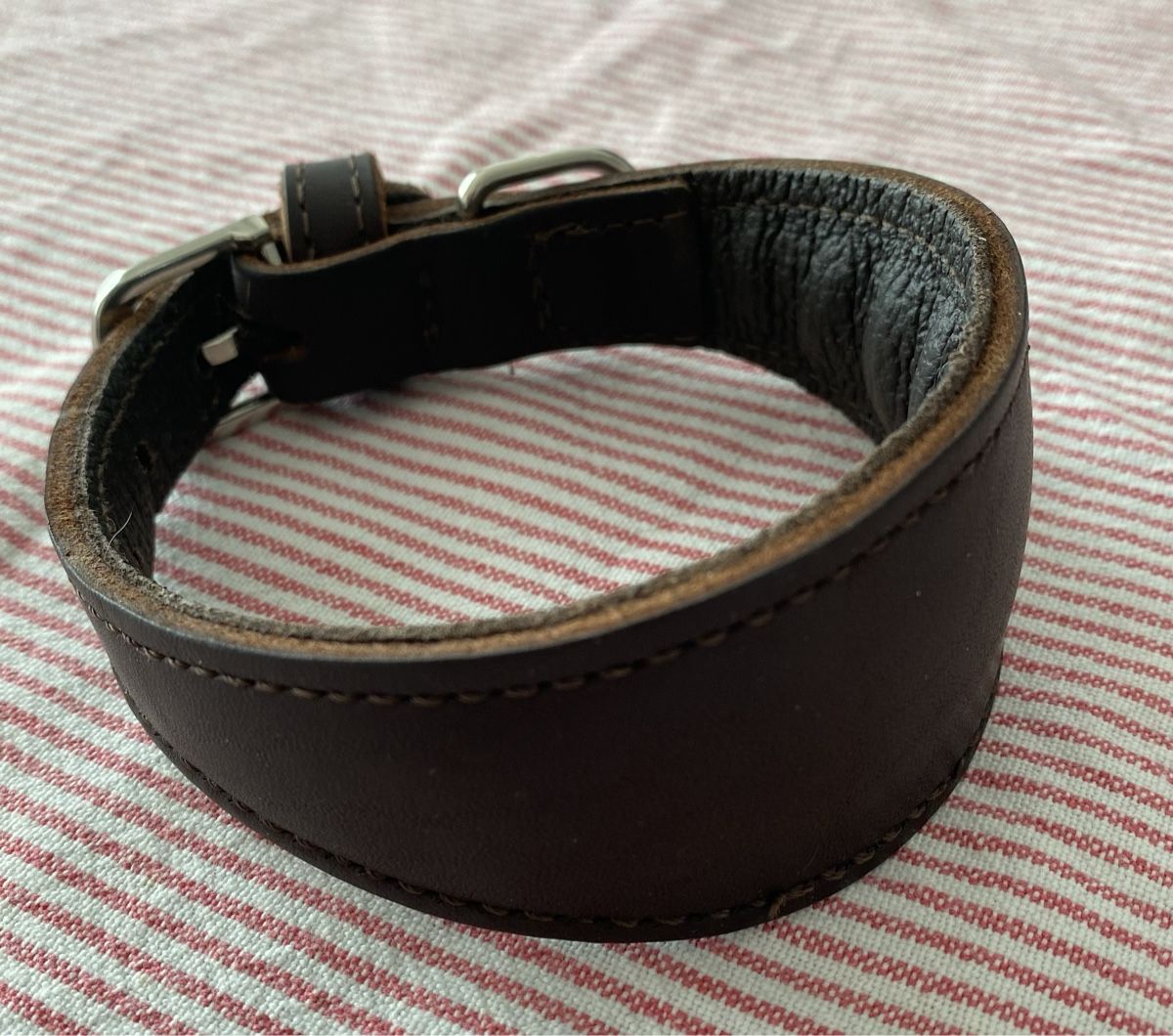 Hunter Leine & Halsband: Hunter Leder Hundehalsband ca 31cm – Gebraucht aus Zürich von Freuerei 1