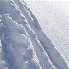 Profile image of SilverSnow