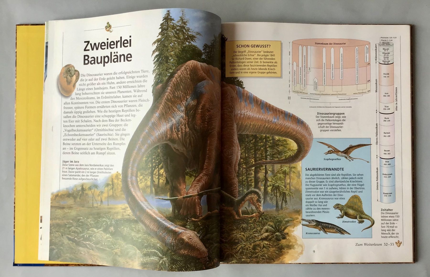 Bücher: Dinosaurier - Alles was ich wissen will – Neu (gemäss Beschreibung) aus Bubendorf von Alpenheidi 5