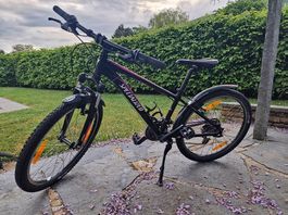 Vela 24 pouces Specialized