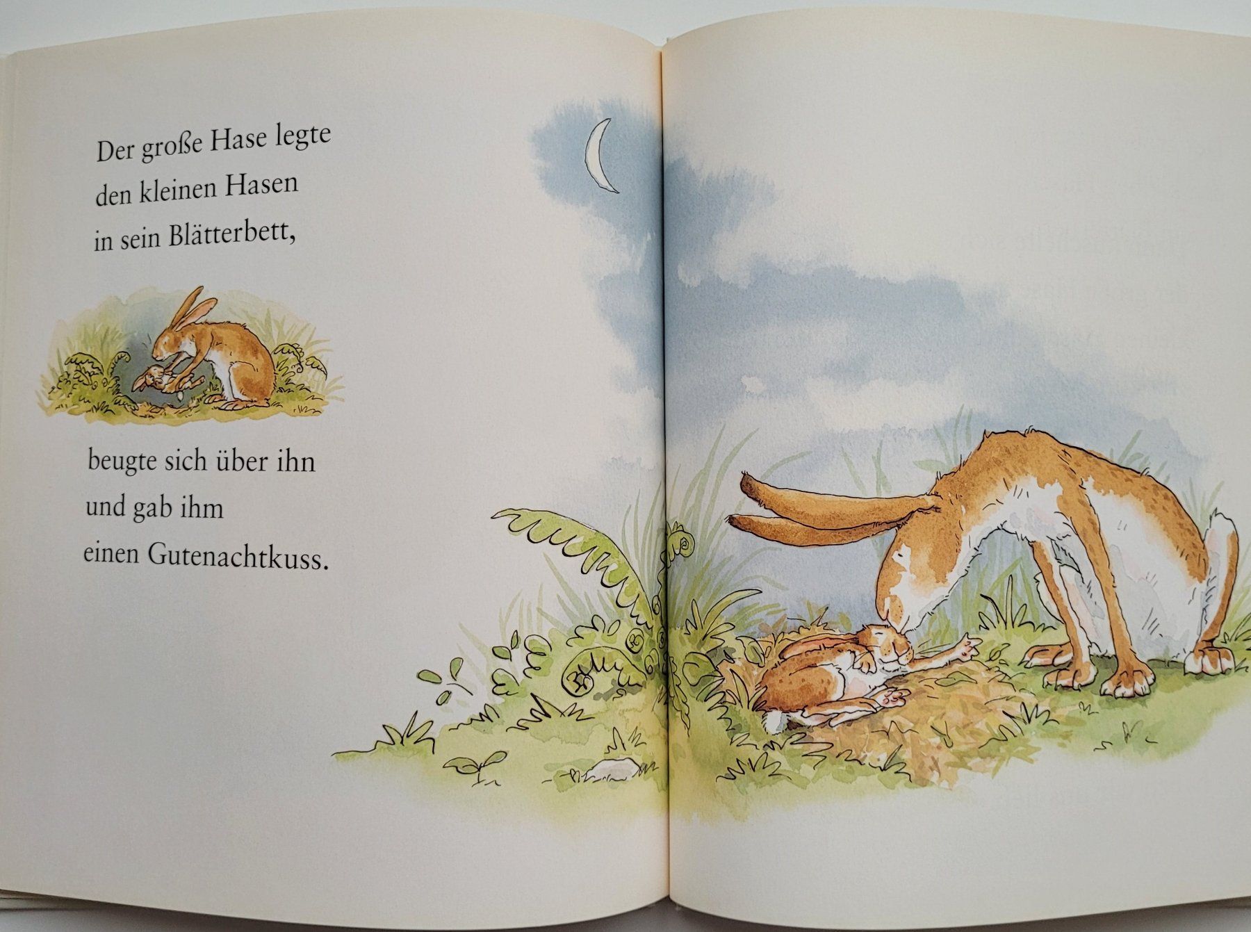 Libri: Weisst du eigentlich, wie lieb ich dich hab? – Usato da Würenlos venduto da Felisha 7